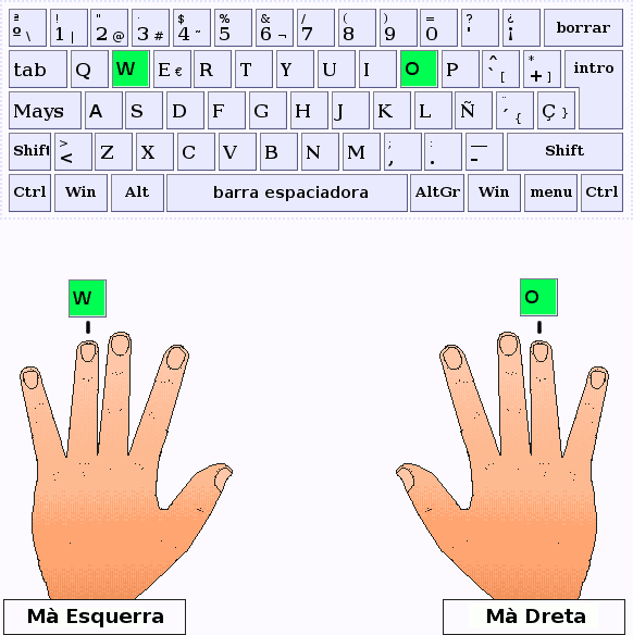 Els dits anular de la mà esquerra i dreta, respectivament, pulsen les tecles W i O