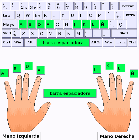 La posición las manos - ARTypist