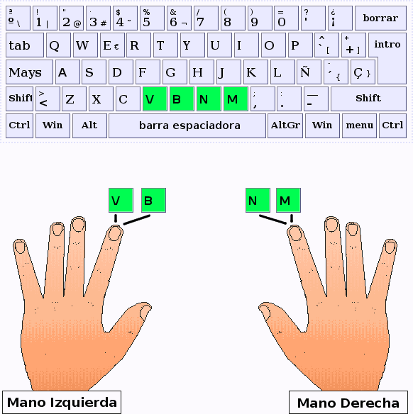 Los dedos índice pulsan las letras V,B,N,M
